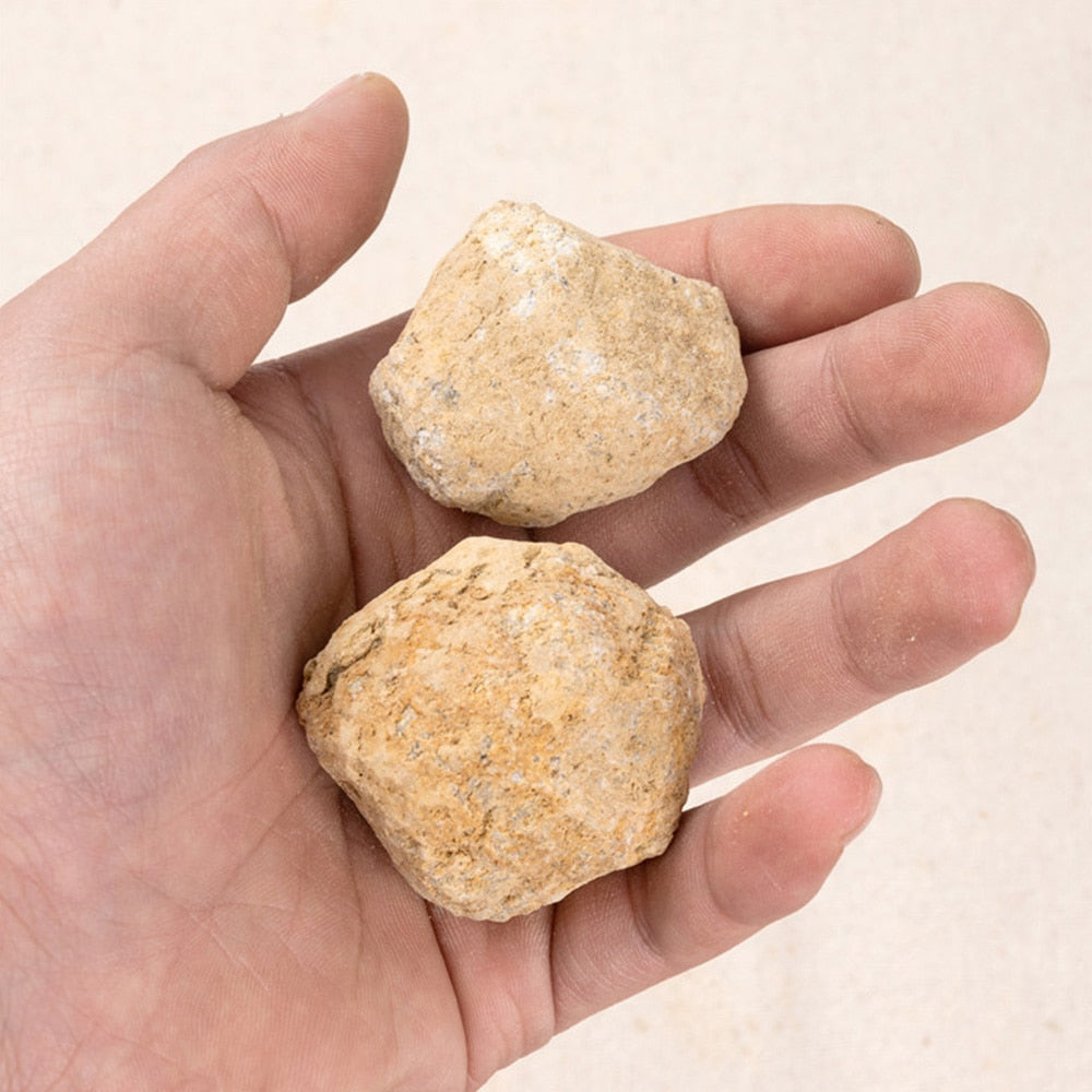 Unopened Natural Agate Geode Raw Crystal | Energy Healing Lucky Stone Cluster Cave Specimen