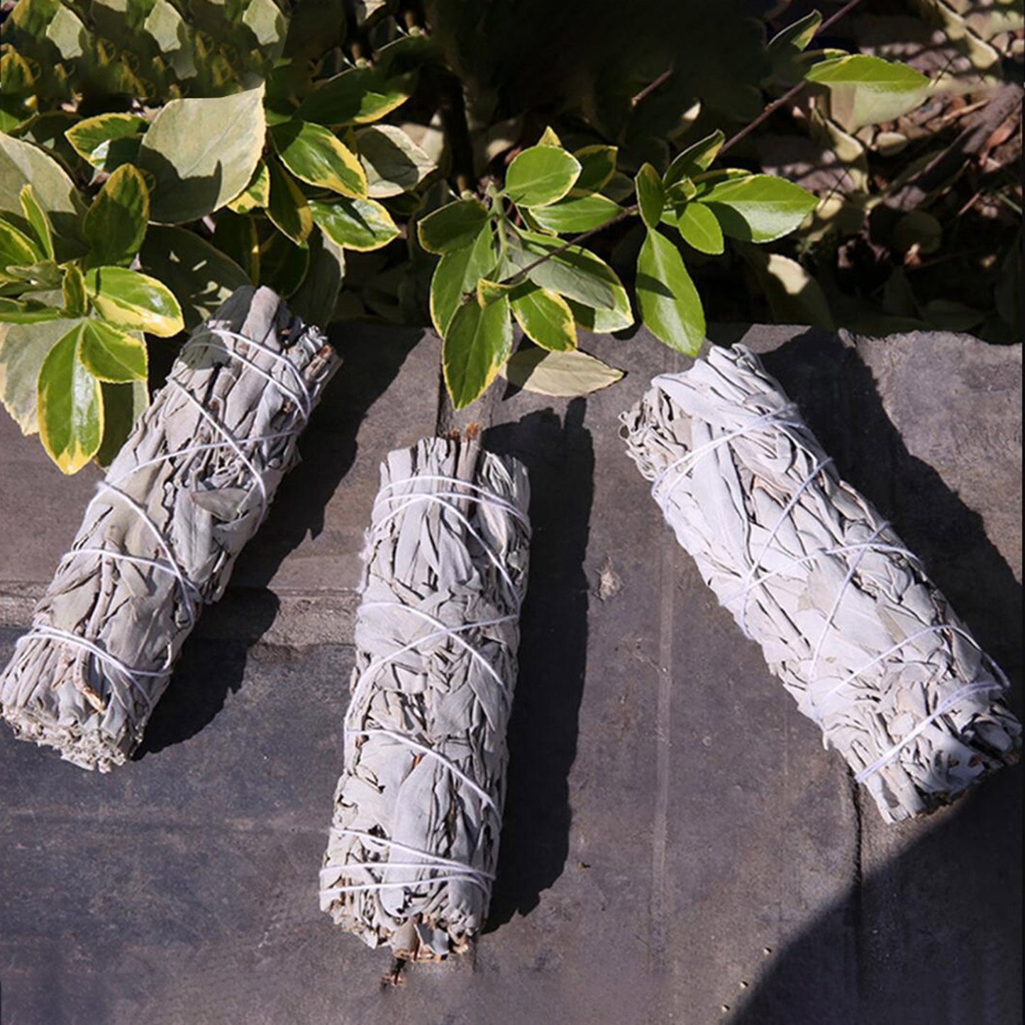 10cm White Sage Bundle and Palo Santo Wood for Spiritual Cleansing and Uplifting Energy